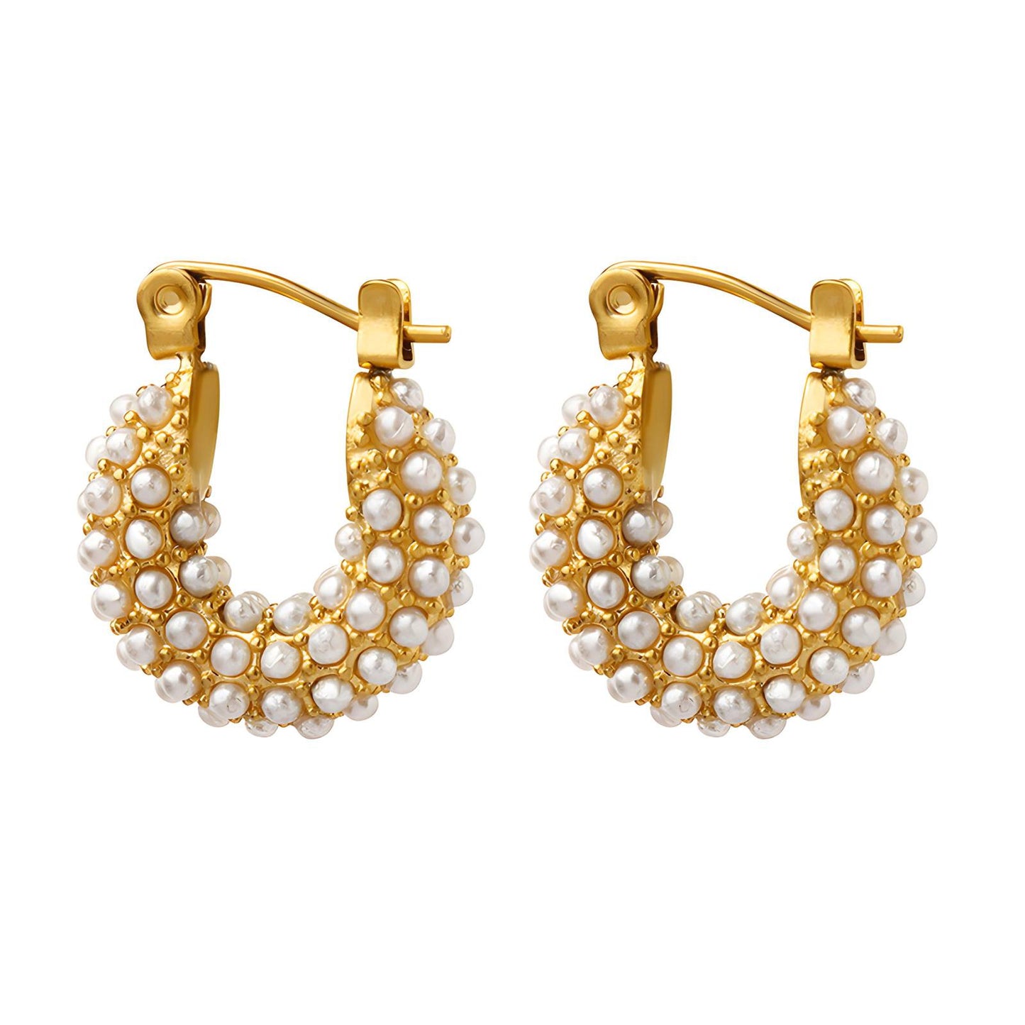 18K gold plated Stainless steel earrings,  FTM Jewelry